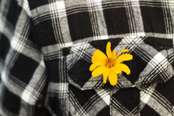 A yellow flower is inserted into the shirt pocket as a decoration. Close-up with a blurred...
