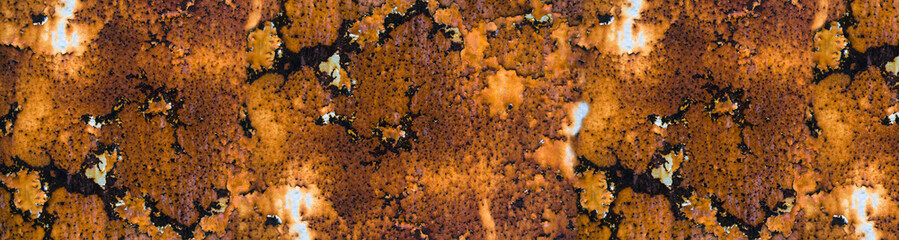 texture of rusted metal. texture to overlay on the surface. Banner for insertion into site. Place for text cope space.