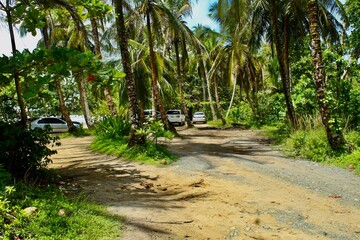 Obraz premium Hermoso lugar en el Ceribe de Costa Rica bañadoo por las aguas del imponente Mar Caribe