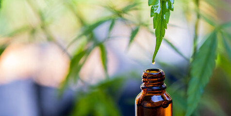 Medicinal Cannabis With Extract Oil In A Bottle
