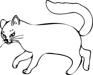 Cat day  illustration doodle.Cat character sketch. Cute kitten hand drawn collection, cats emotions funny and hungry, happy and angry cartoon
