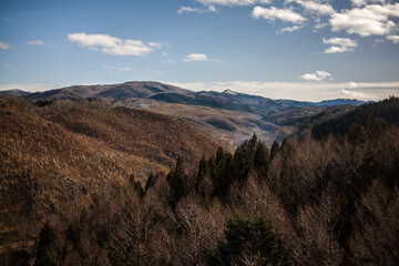 Autumn season landscape, Nagoya, Japan