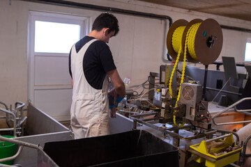 A farm worker in a special white uniform and blue gloves performs a procedure on a small pig in an industrial factory © andrewsh.ca