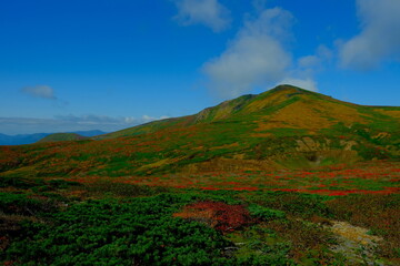 栗駒山の紅葉