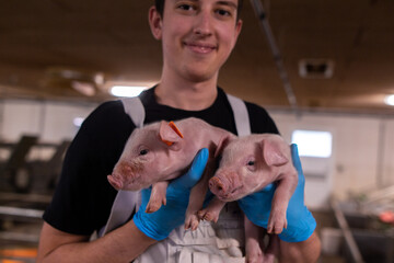 A farm worker in a special white uniform and blue gloves holds and hugs two piglets and looks at the camera at an industrial factory © andrewsh.ca