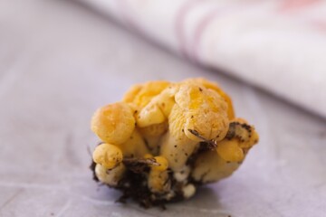 Yellow chanterelles collected in the forest. They lie on the surface of the table. Close-up.