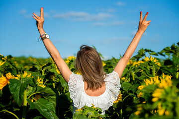 Kobieta w białej bluzce pokazująca znak wolności. Dziewczyna z szeroko rozstawionymi rękami w polu słoneczników.