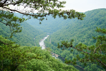 a view of a forested river bend in a valley with pine tree branches in the background 