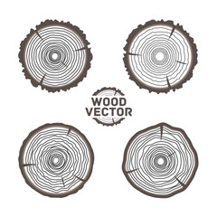 Set of four vector tree rings background and saw cut tree trunk. Vector illustration