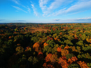 Naklejka premium Aerial view of autumn foliage