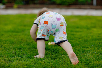 Cute adorable baby girl crawl and make first steps outdoors. Healthy happy toddler child learning walking. Lovely girl enjoy spring garden explore world.