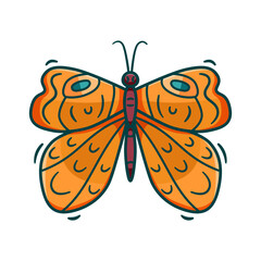 Cartoon orange butterfly vector illustration. Flat abstract insect with big colorful wings. Flying exotic animal. Outline with color print design isolated on white background