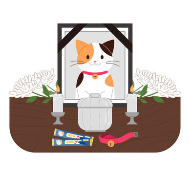 Funeral scene of a dead cat. The things the cat loved while he was alive, the cat's ashes box and chrysanthemums. Pet death concept vector illustration.