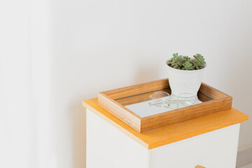 Succulent vase and eyeglasses on mirror tray on the bedroom. Aesthetic minimalist composition.