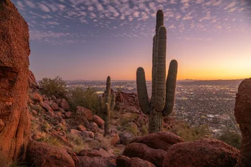 Poster Saguaro Cactus on Camelback Mountain with Phoenix Skyline © Tom