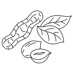 The peanut line icon. Cooking ingredient. Editable stroke size. Nuts sketch illustration.