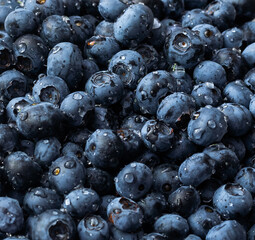 blueberry. Fresh Bilberries. Close-up background.