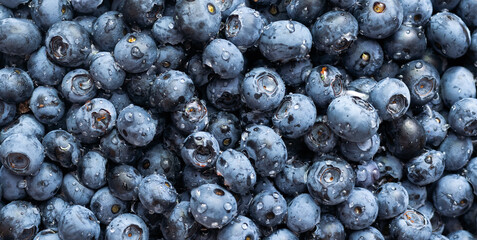 Blueberries floating. Fresh blueberries background with copy space for your text. Vegan and vegetarian concept.Texture blueberry berries close up.