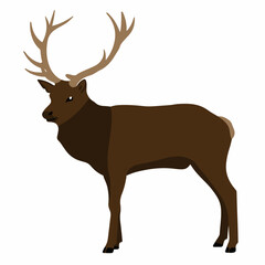 brown deer vector cartoon illustration