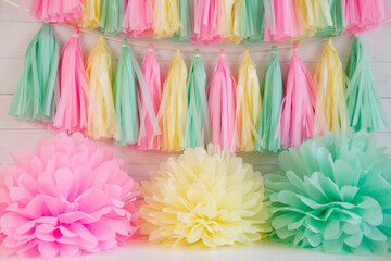 colorful gerber flowers
