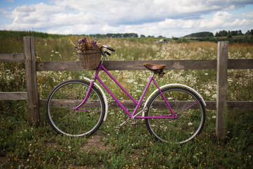 Vintage bicycle with a basket full of flowers standing in a field