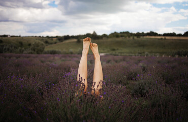 Slender female girl legs in lavender bushes, warm sunset light. 