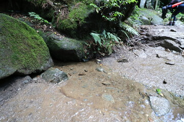夏の筑波山の登山