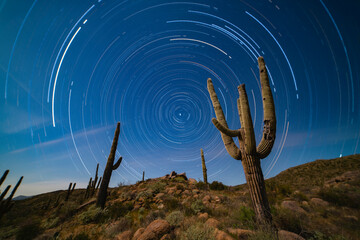 Fototapeta na wymiar Saguaro Cactus at Night with North Star Star Trails
