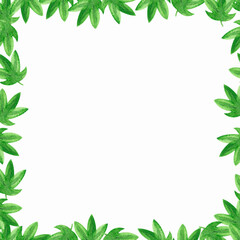 Floral frame on a white background