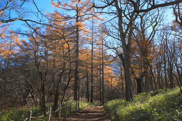 晩秋の奥日光・戦場ヶ原／栃木県日光市