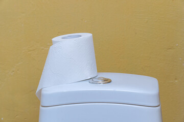 Toilet paper on the toilet tank