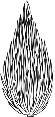 polskie drzewa iglaste line art cis drzewo © Kornelia