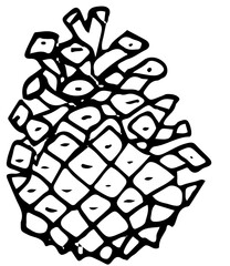 polskie drzewa iglaste line art sosna owoc © Kornelia