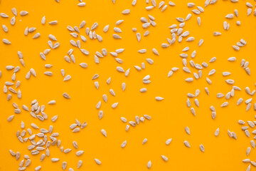 Shelled sunflower seeds over yellow background