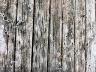 weathered wood for a backgrouns