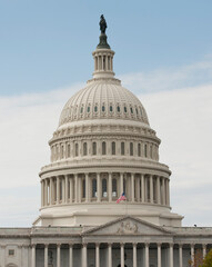 Fototapeta premium US Capitol Dome