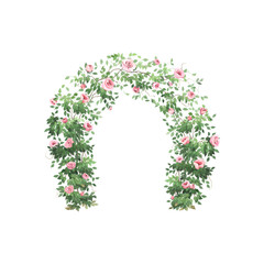 Green arch with delicate pink roses and buds, hand drawn watercolor illustration isolated on white background for your text greeting, invitation or wedding date, romantic frame.