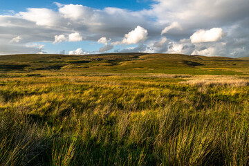 Golden Hour at Ribblehead, Yorkshire Dales National Park, England, UK