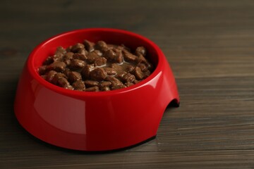 Wet pet food in feeding bowl on wooden background