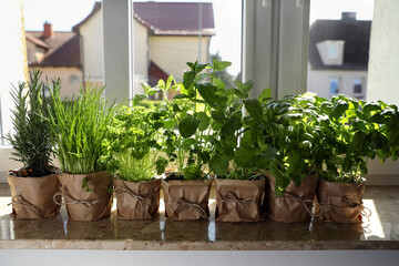 Different aromatic potted herbs on windowsill indoors