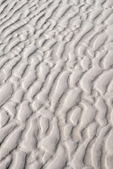 abstract sea background, wadden sea, mud flat
