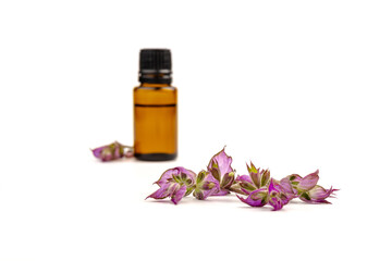 A bottle of essential oil with fresh blooming clary sage twigs on white background.