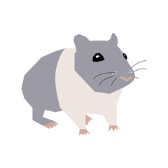 Hamster Background Very Cool