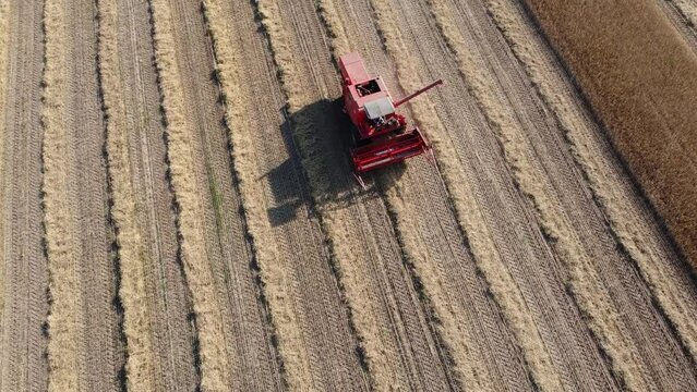 Polska Wieś, Kombajn, Żniwa, Harvest, Polska, Poland, Dron, Drone