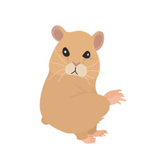 Hamster Background Very Cool