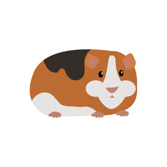 Hamster Background Very Cool