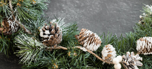 Christmas background, green pine branches, cones on dark background