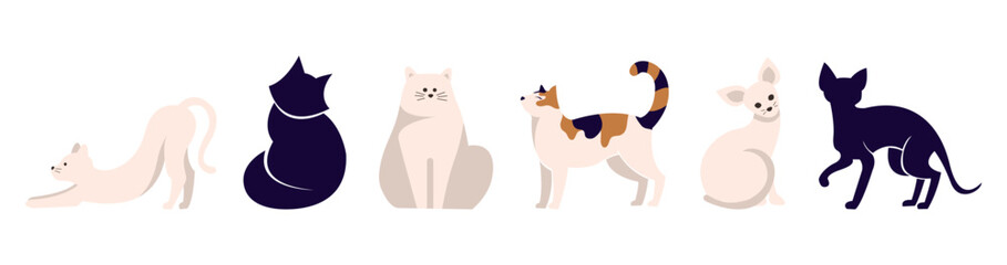 Set of icons with cats. Flat design vector. Variety breeds cats in different poses sitting, standing, stretching, lying. For veterinary clinic, pet shop advertising concept. Collection of kittens