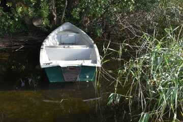 Łódka przy brzegu jeziora w trzcinach