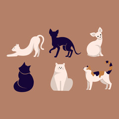 Fototapeta na wymiar Set of icons with cats. Flat design vector. Variety breeds cats in different poses sitting, standing, stretching, lying. For veterinary clinic, pet shop advertising concept. Collection of kittens